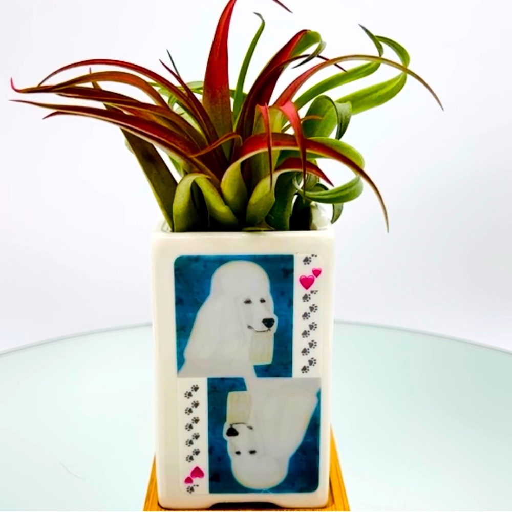 POODLE Dog Art 
• Hand Crafted Home Decor Planter Office Desktop Organizer Gifts